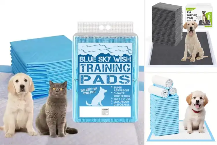 Detailed view of Best 18×24 Inch Puppy Pads