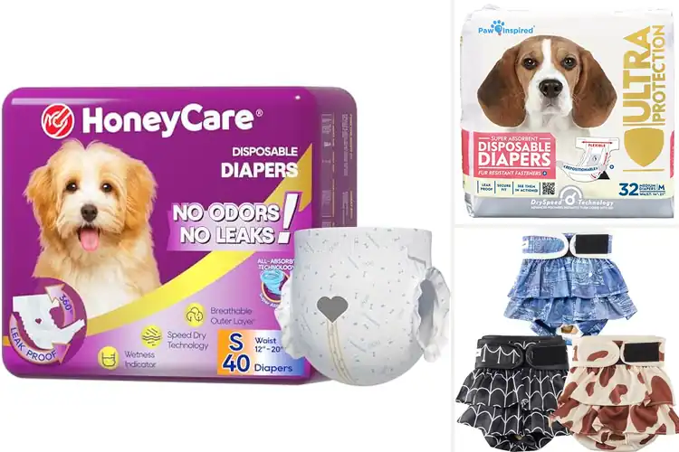 Detailed view of Best Absorbent Dog Diapers: Leak-Proof Comfort for Your Pet