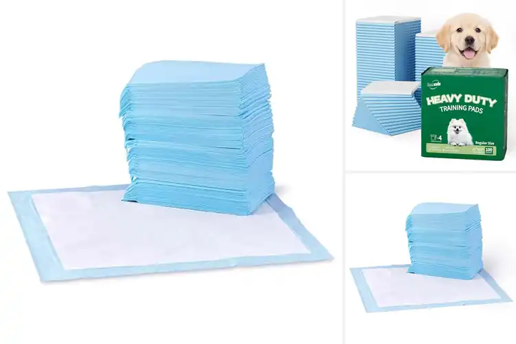 Detailed view of Best Absorption Pee Pads: Top 10 Picks for a Clean, Dry Home