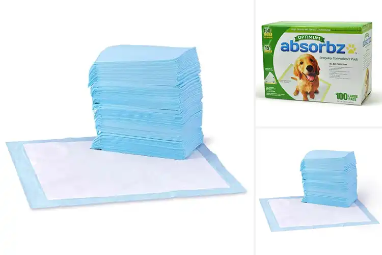 Detailed view of Best Absorption Training Pads For Dogs