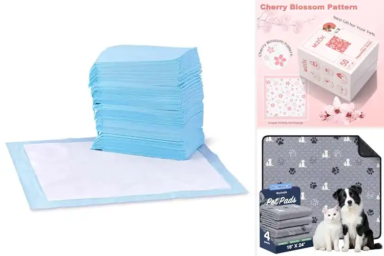 Detailed view of Best Designed Dog Pee Pads: Top Picks for a Spotless Home