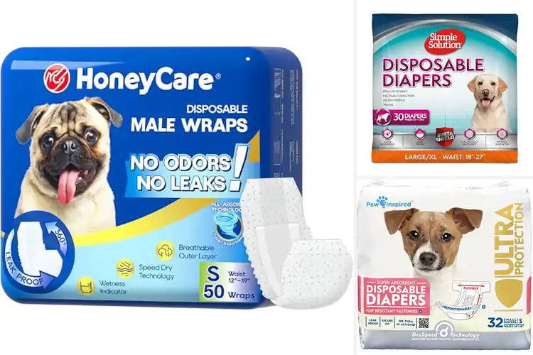 Detailed view of Best Disposable Dog Diapers