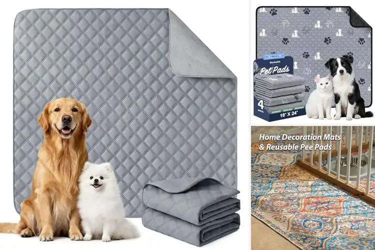 Detailed view of Best Durable Washable Pads For Dogs