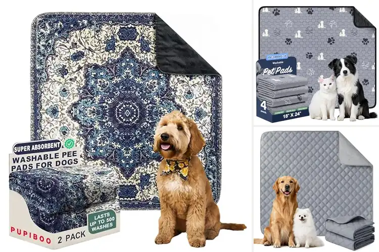 Detailed view of Best Durable Washable Puppy Pads