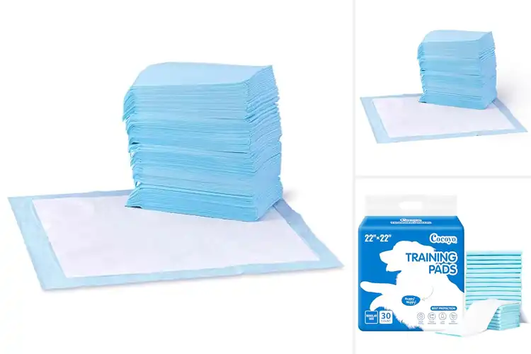 Detailed view of Best Economical Dog Pads