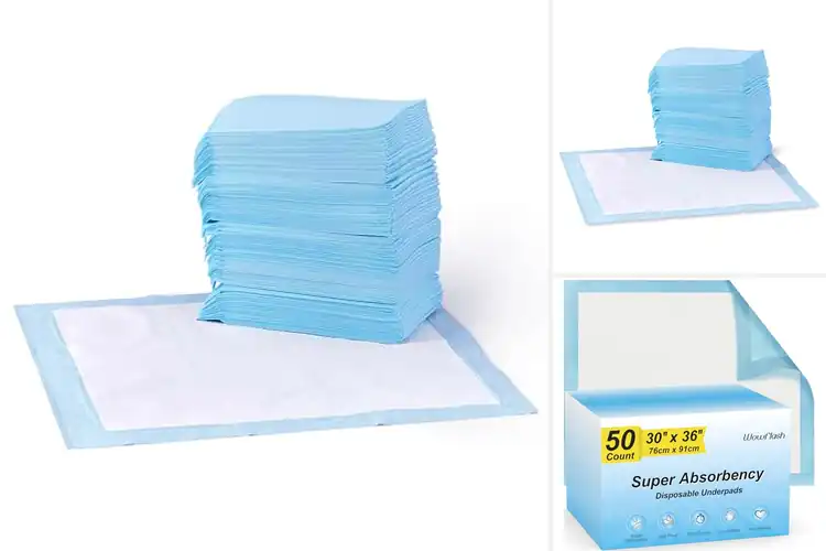 Detailed view of Best Incontinence Pads For Dogs