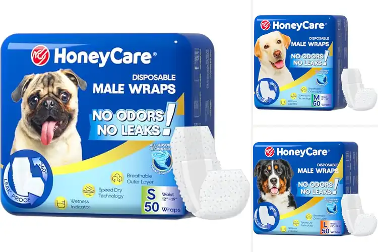 Detailed view of Best Male Dog Wraps: Top 10 Picks for a Clean, Cozy Home