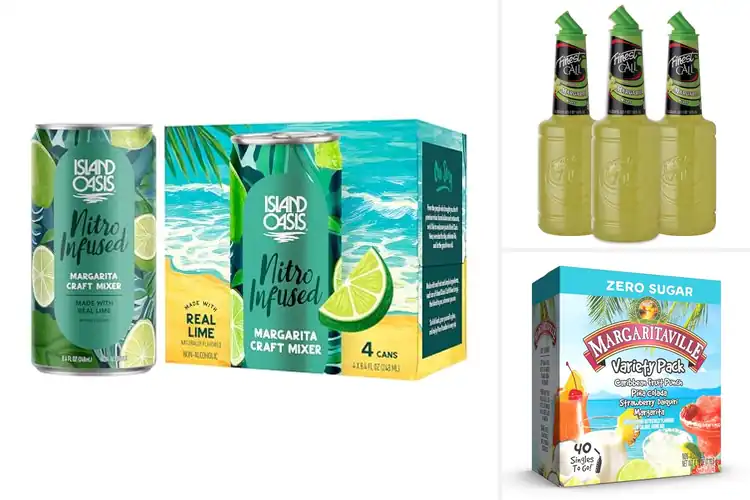 Detailed view of Best Margarita Mixers