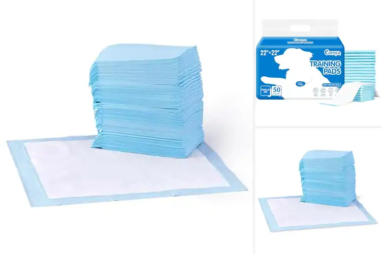 Detailed view of Best Puppy Pads: Top 10 Picks for Stress-Free Potty Training