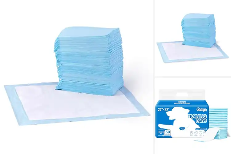 Detailed view of Best Puppy Pee Pads: Top 10 Picks for Easy Potty Training