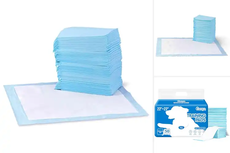 Detailed view of Best Puppy Training Pads