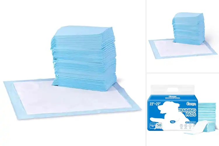 Detailed view of Best Training Pads for Dogs