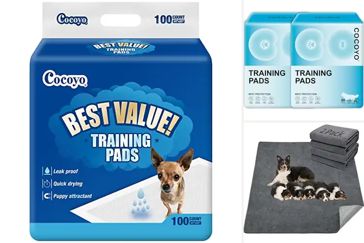 Detailed view of Best Value Puppy Pads 2 Pack