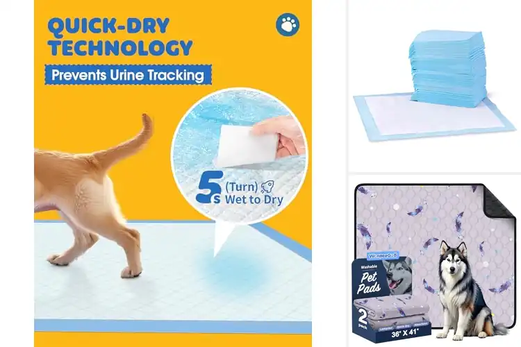 Detailed view of Best Versatile Dog Pee Pads