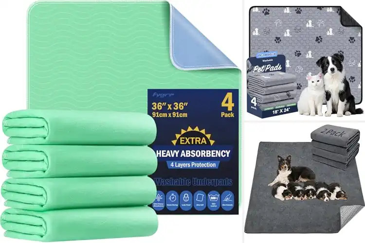 Detailed view of Best Washable Dog Pee Pads