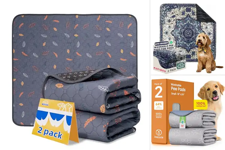 Detailed view of Best Waterproof Dog Pee Pads